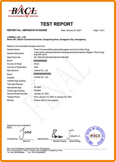 Rapport de test