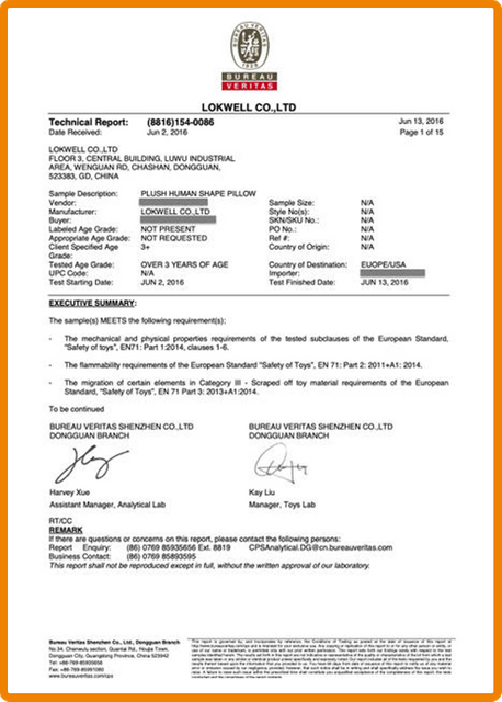 Rapport de test